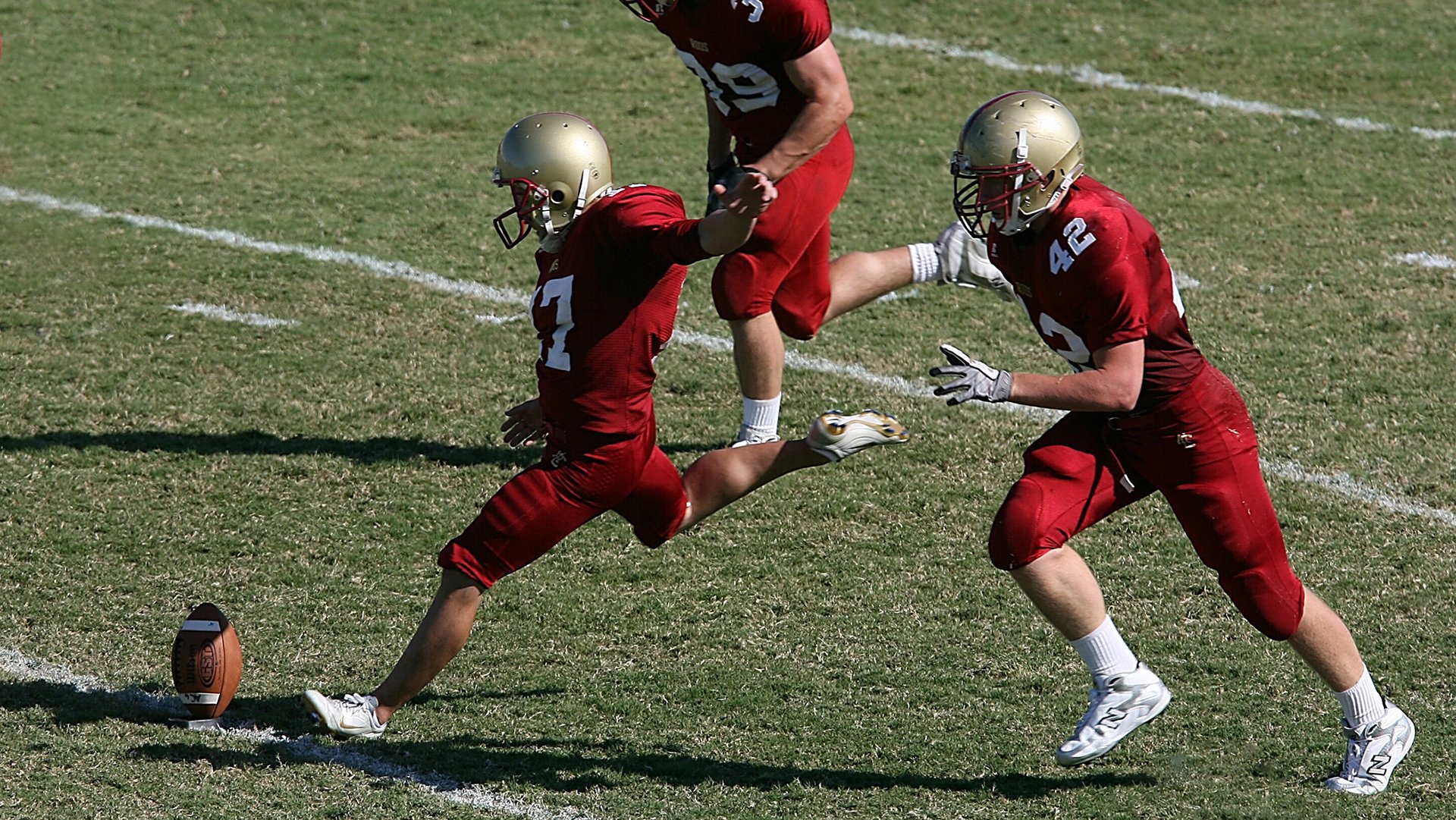 开云体育下载-比利时马术协会与大学合作，开展马术运动营养研究，优化饮食方案。